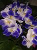20160508_142905
