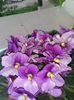 20160508_142939