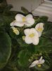 20160508_143300