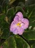 20160508_143305