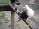 who is the boss bitch 067