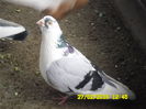 who is the boss bitch 077