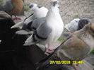 who is the boss bitch 087