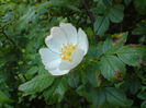 DSC02005