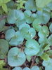 DSC02010