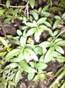 DSC02022