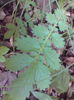 DSC02023