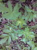 DSC02024