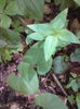 DSC02027