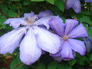 DSC02007