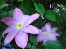 DSC02015