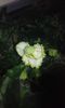 20160508_192541
