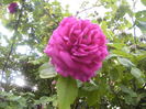 P1250708