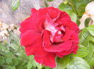 P1250712