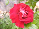 P1250713