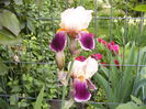 P1250717