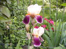 P1250718