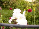 P1250728