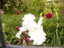 P1250729