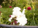 P1250730