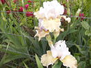 P1250732