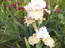 P1250734