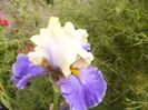 P1250737