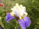 P1250738