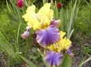 P1250753