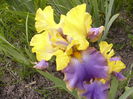 P1250755