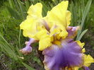 P1250758