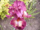 P1250764