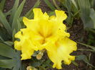 P1250775