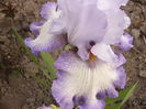 P1250779
