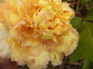 P1250788