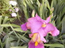 P1250815