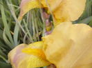 P1250817