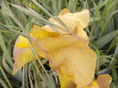 P1250818