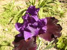 P1250821