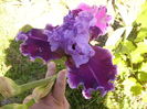 P1250825