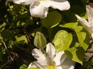 P1250828
