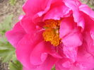 P1250840