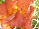P1250843
