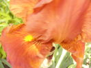 P1250844