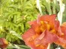 P1250845