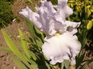 P1250850