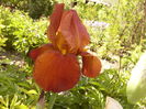 P1250852