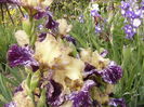 P1250856