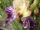 P1250863