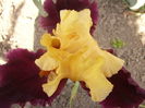 P1250868